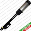 DIPASPORT SSAS02194R Air Spring, suspension
